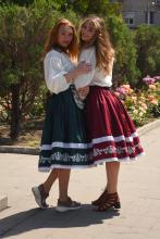 Спідниця одностороння з вибійкою, зелена, довжина 75 см (Індивідуальне пошиття) Спідниця одностороння з вибійкою, зелена, довжина 75 см (Індивідуальне пошиття)