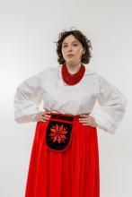 Кишеня Зірка червона Кишеня Зірка червона