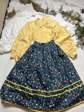 Двостороння спідниця стандарт